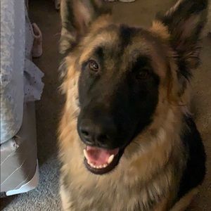 Meet your Posher, Kathleen